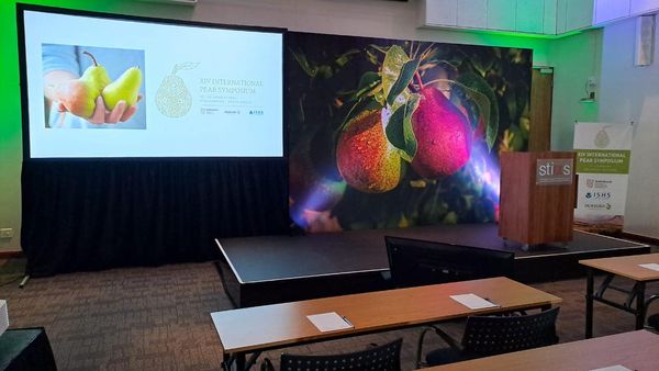 325898820_493068786328509_5318483843611587470_n