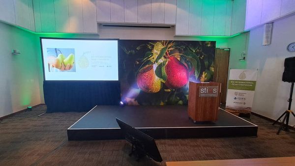 326281923_914443676576307_3168983091543192666_n